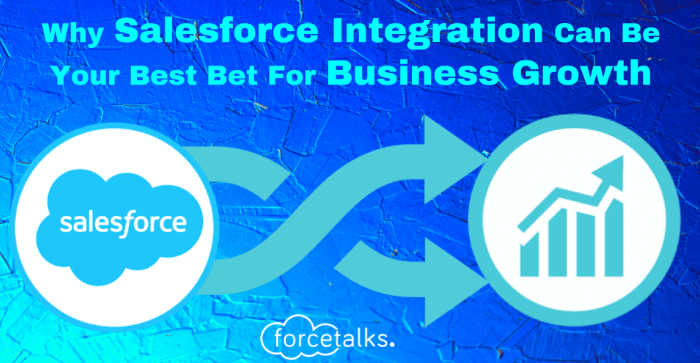 Salesforce Integration For Business Growth