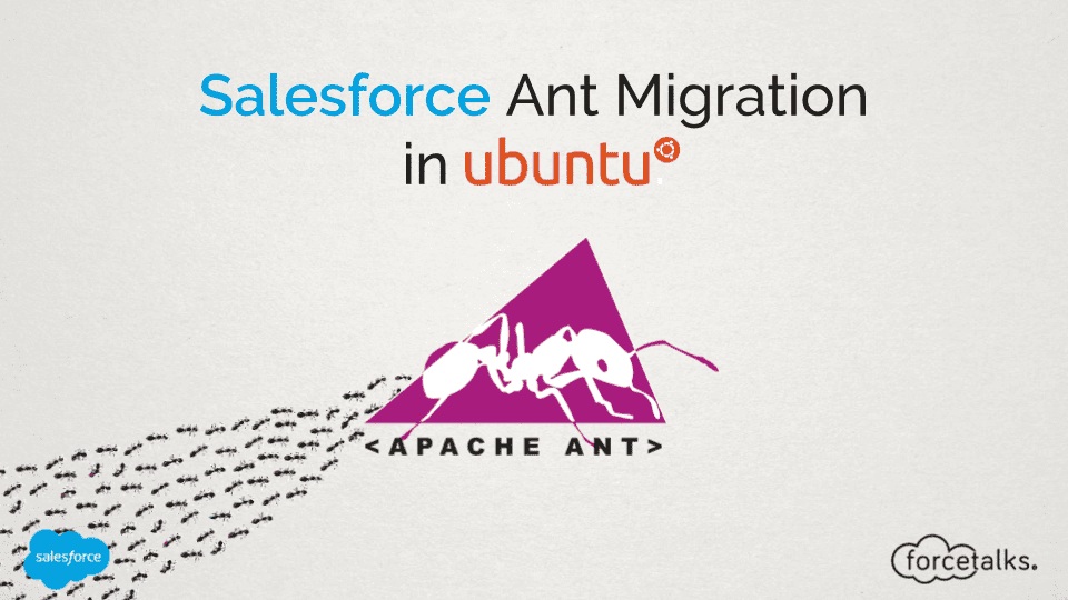 Salesforce Ant Migration in Ubuntu