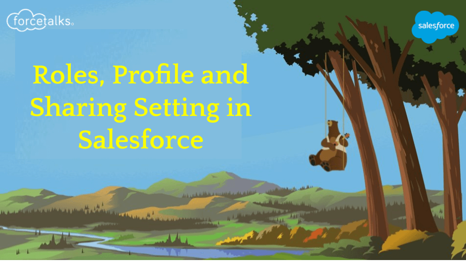 sharing setting in salesforce