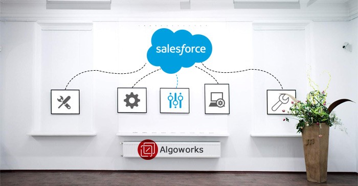 Salesforce Customization