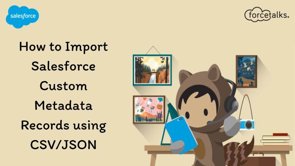 Salesforce Cuastom Metadata