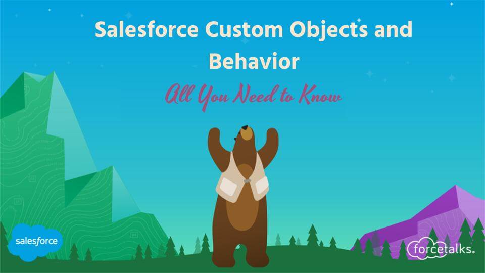 Custom Objects