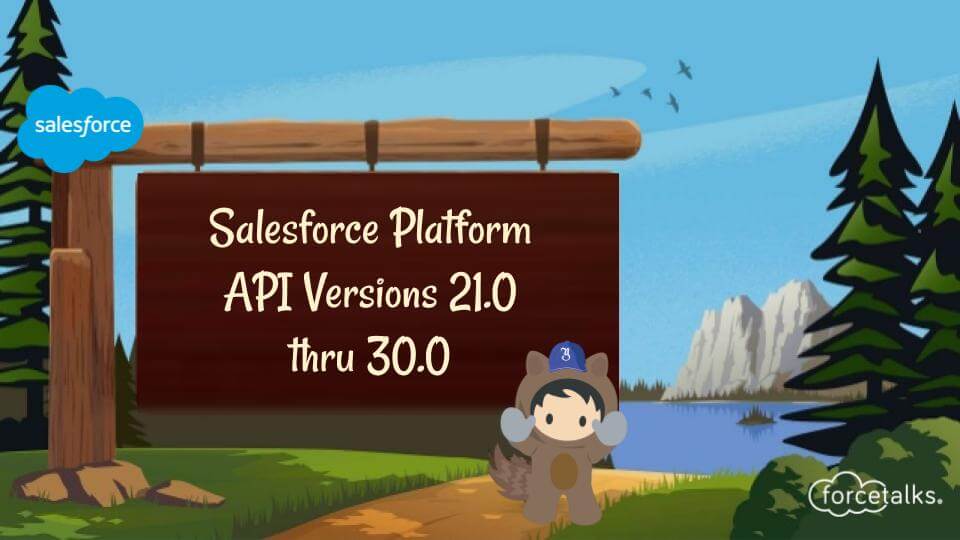 Salesforce Platform