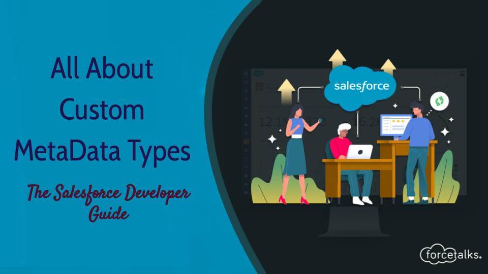 Custom MetaData Types