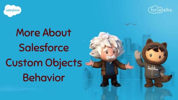 More About Salesforce Custom Objects Behavior