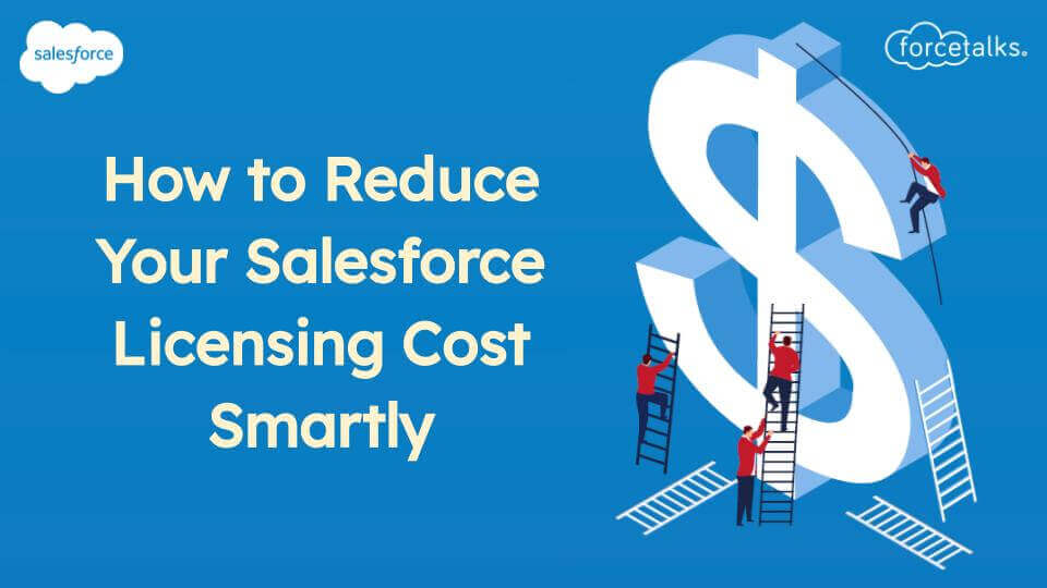 Salesforce Licensing Cost