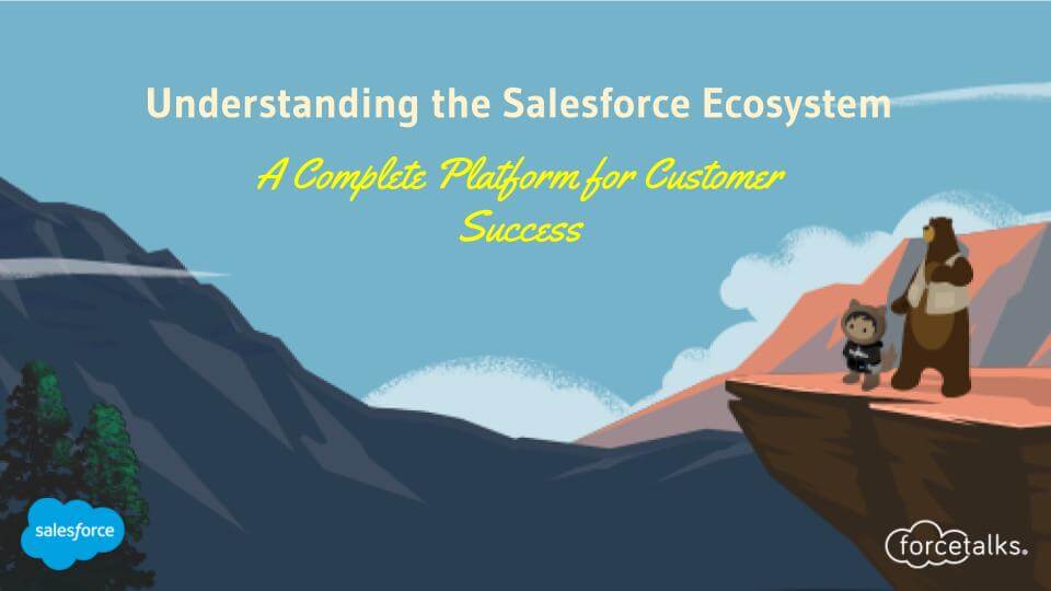 Salesforce Ecosystem