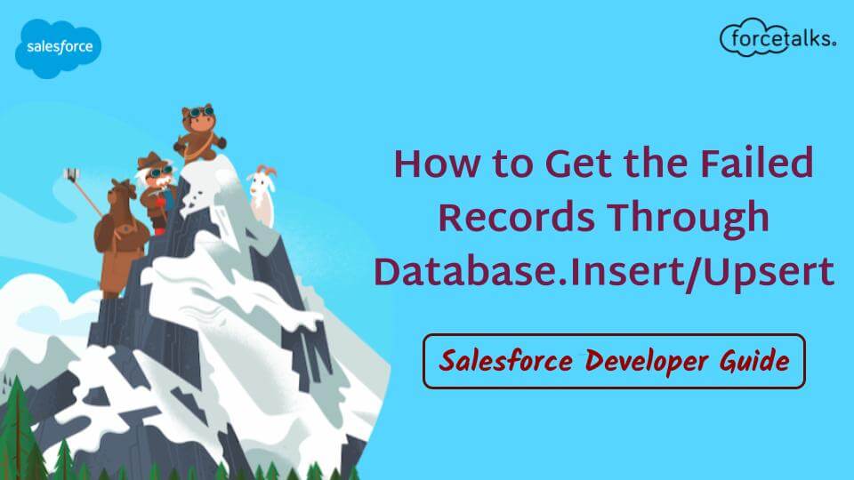 salesforce Records