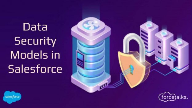 Data Security Models in Salesforce