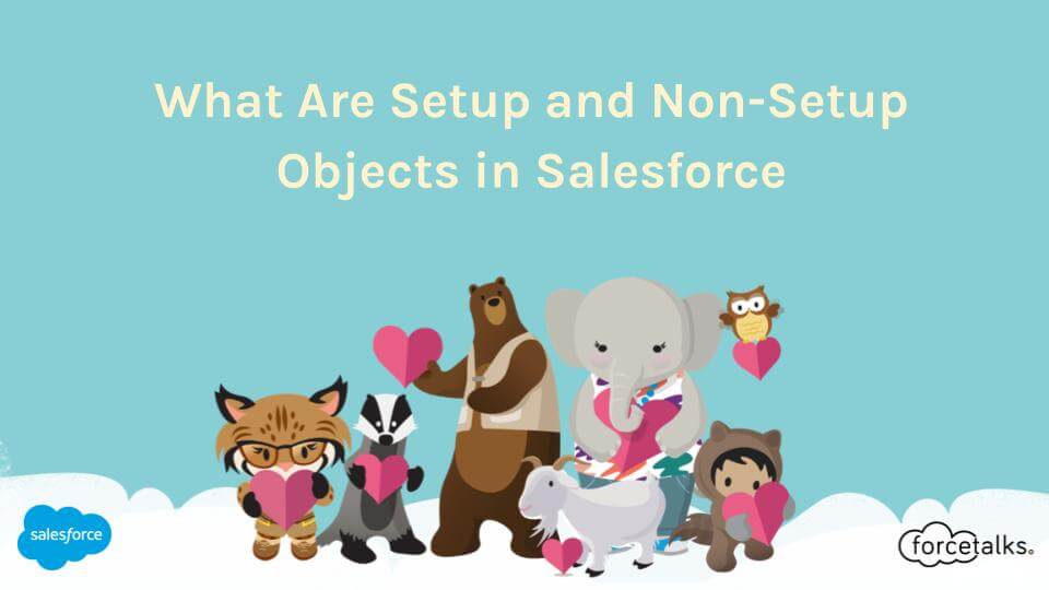 Objects in Salesforce