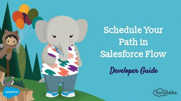Schedule Your Path in Salesforce Flow | Developer Guide