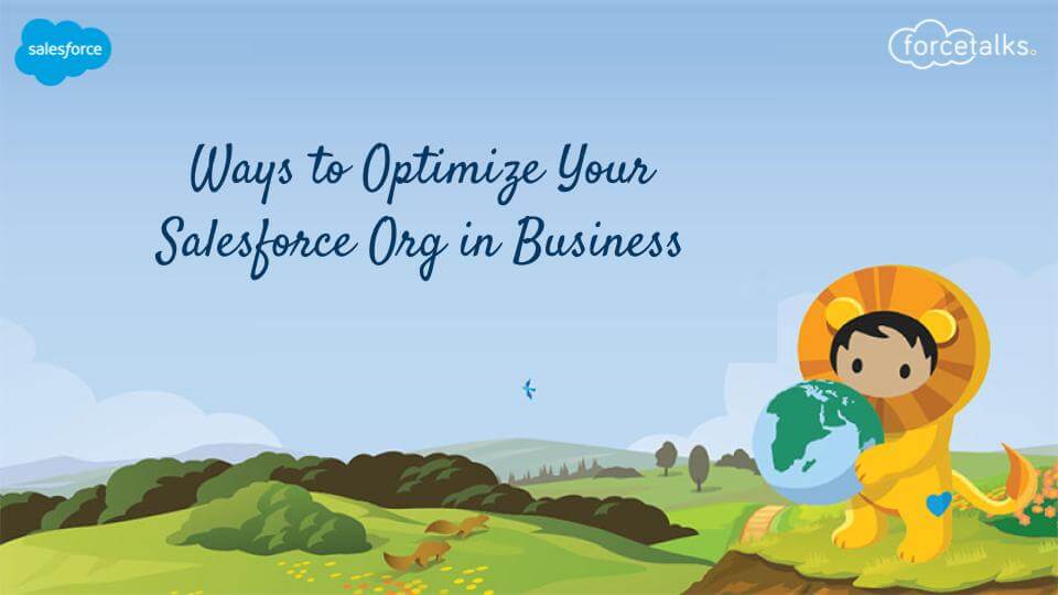 Salesforce Org