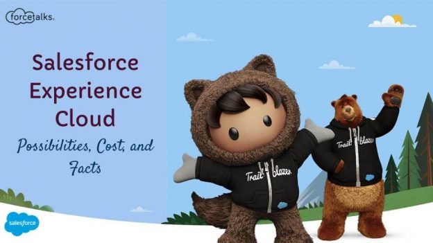 Salesforce Experience Cloud – Possibilities, Cost, and Facts
