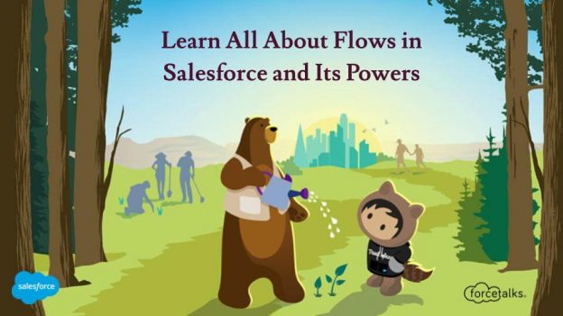 Learn All About Flows in Salesforce and Its Powers