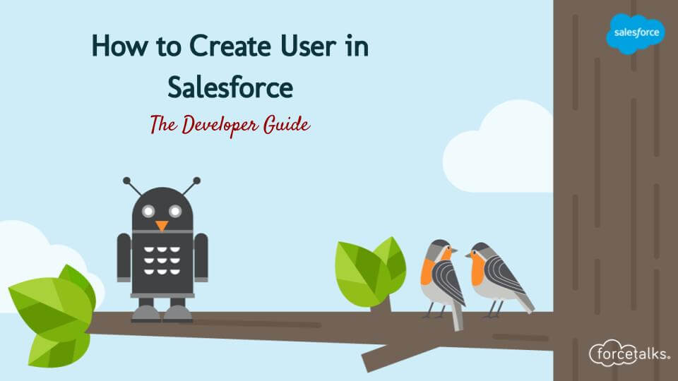 Create User in Salesforce