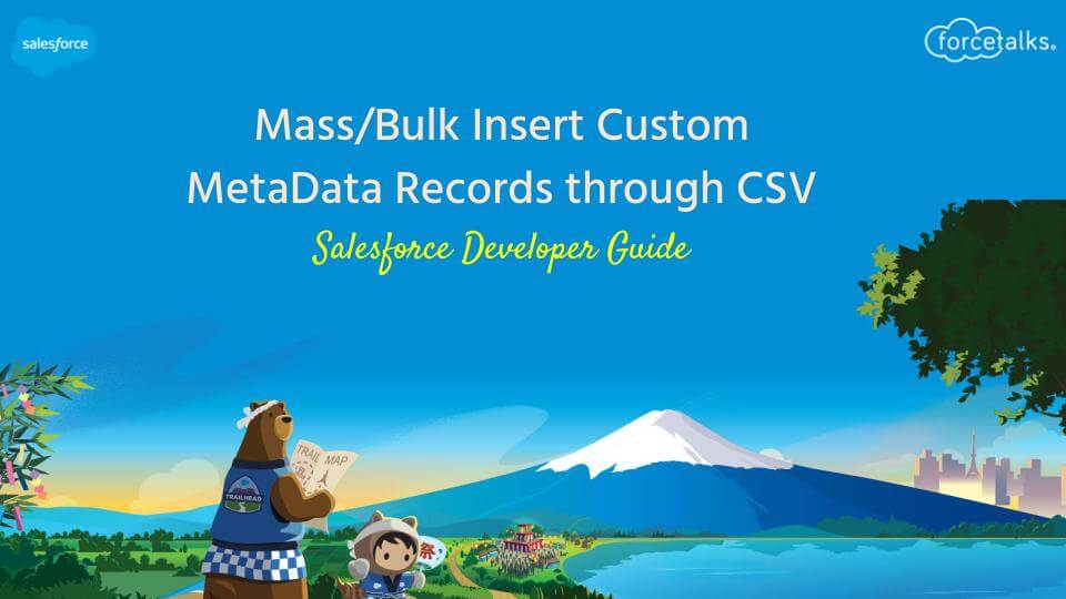 MetaData Records