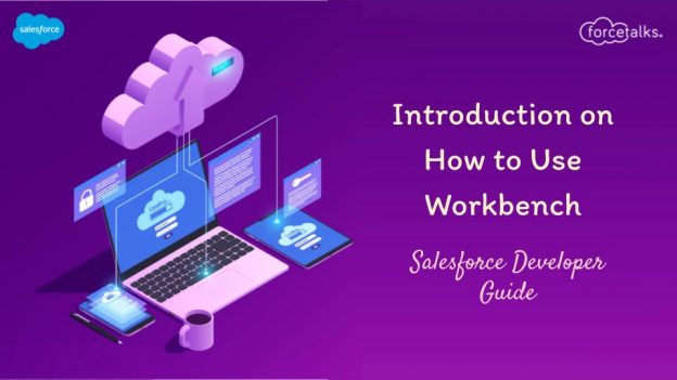 Introduction on How to Use Workbench | Salesforce Developer Guide