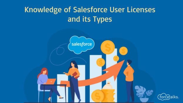 Knowledge of Salesforce User Licenses and its Types