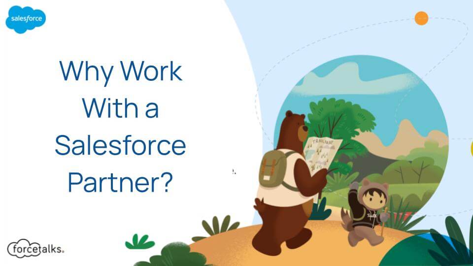Salesforce Partner