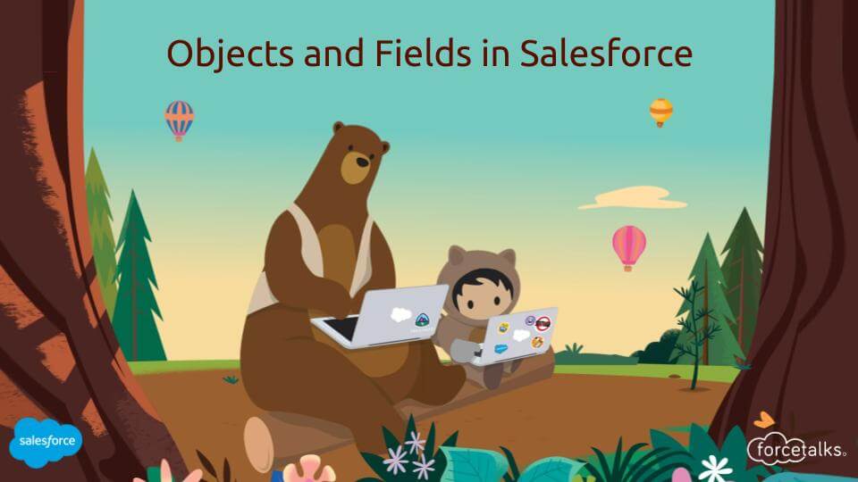 Objects and Fields in Salesforce