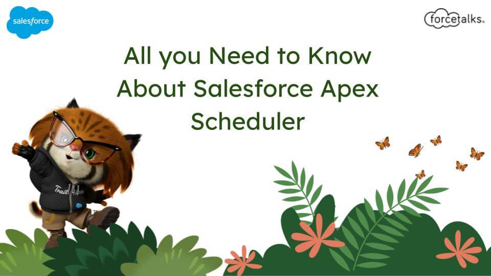 Salesforce Apex Scheduler