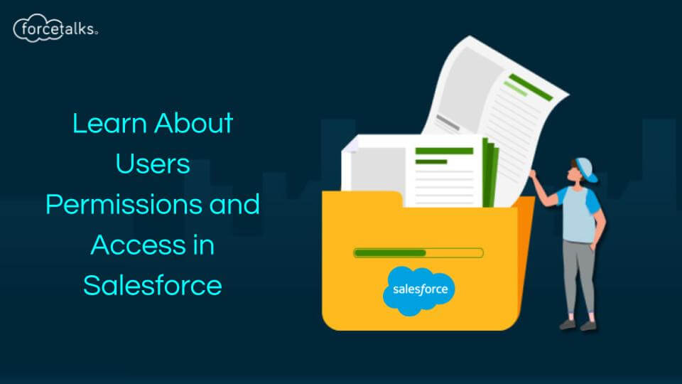 Users Permissions and Access in Salesforce