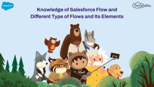 Knowledge of Salesforce Flow and Different Type of Flows and Its Elements