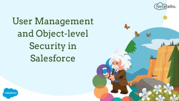 User Management and Object-level Security in Salesforce