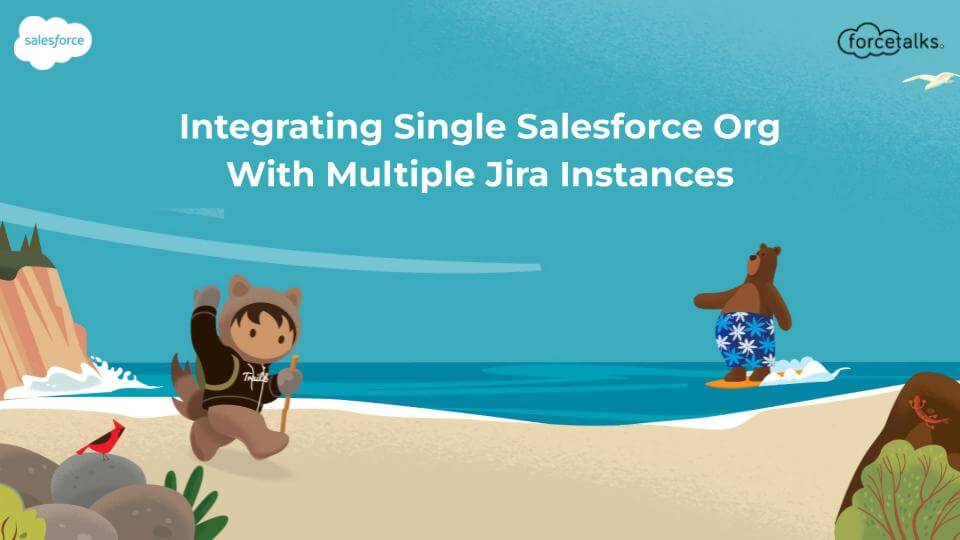 Salesforce Org