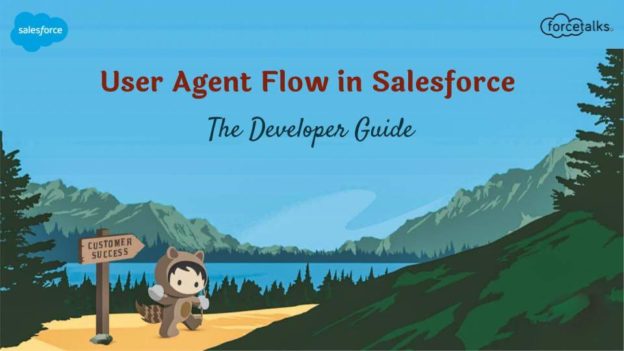 User Agent Flow in Salesforce | The Developer Guide