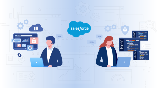 Salesforce Admin vs. Salesforce Developer, Which One Does Your Business Need?