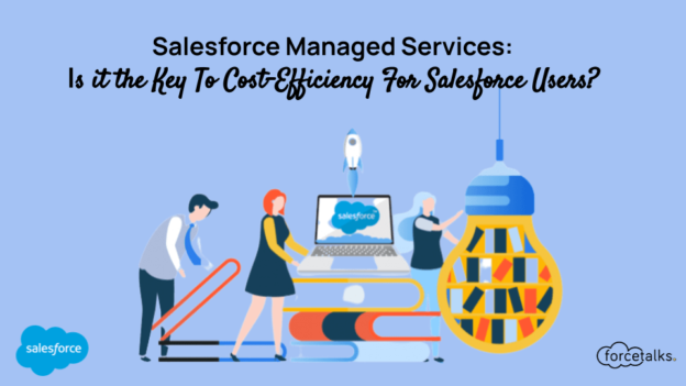 Salesforce Managed Services: Is it the Key To Cost-Efficiency For Salesforce Users?