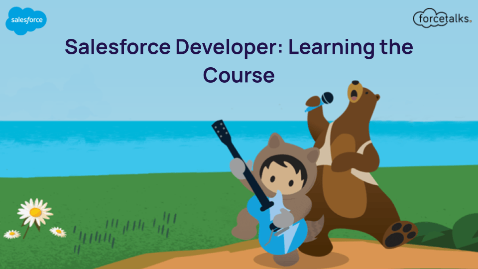 Salesforce Developer: Learning the Course