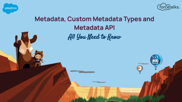 All You Need to Know About Metadata, Custom Metadata Types and Metadata API