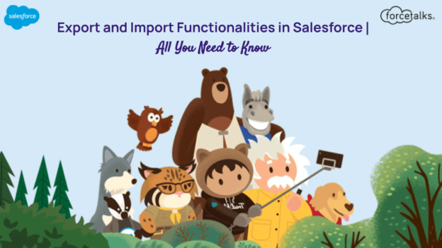 Export and Import Functionalities in Salesforce | All You Need to Know