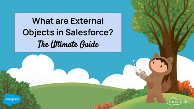 What are External Objects in Salesforce? | The Ultimate Guide