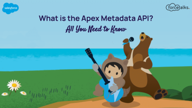 What is the Apex Metadata API? | All You Need to Know