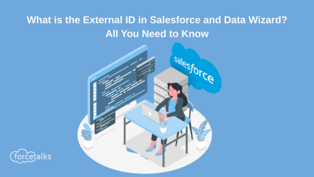 What is the External ID in Salesforce and Data Wizard? | All You Need to Know