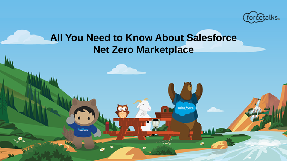 All You Need to Know About Salesforce Net Zero Marketplace