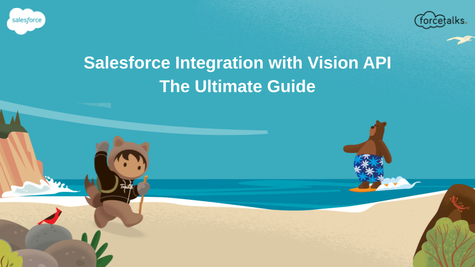 Salesforce Integration with Vision API | The Ultimate Guide