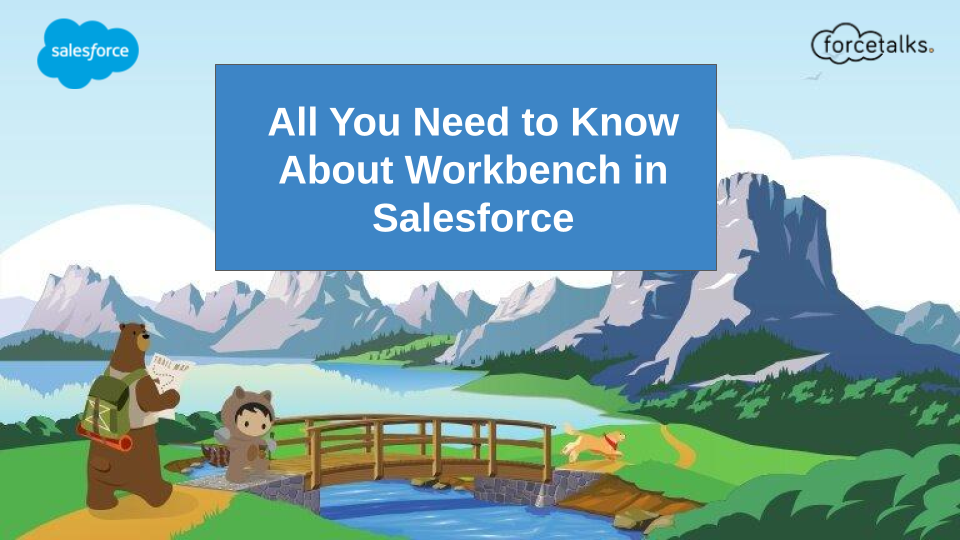 All You Need to Know About Workbench in Salesforce