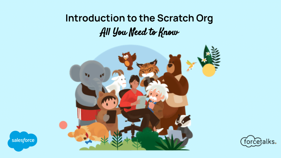 Introduction to the Scratch Org | All You Need to Know