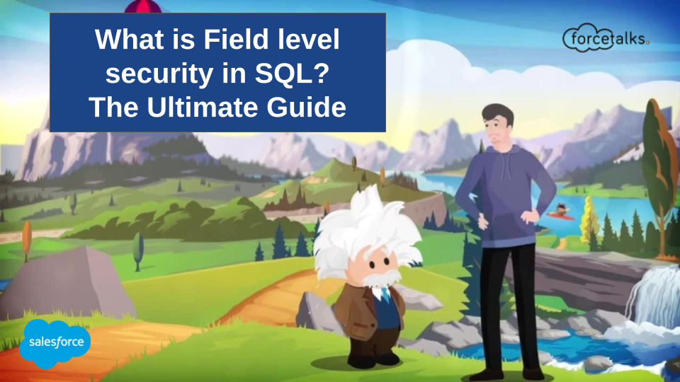 What is Field level security in SQL? The Ultimate Guide