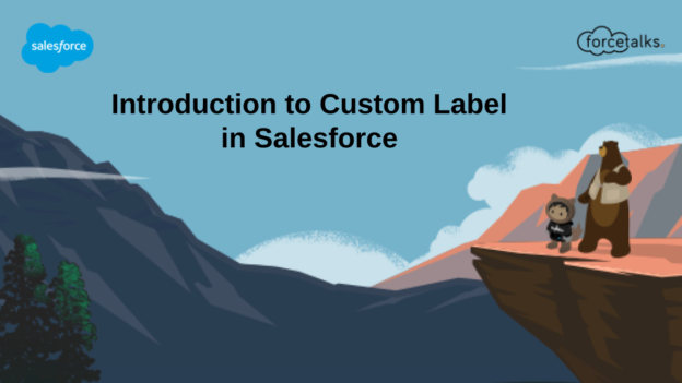 Introduction to Custom Label in Salesforce