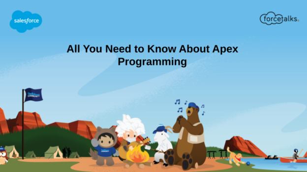 All You Need to Know About Apex Programming