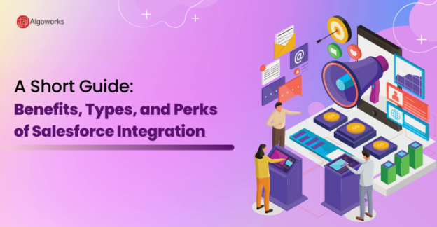 A Small Guide On Salesforce Integration: Benefits | Types |  Perks