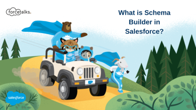 What is Schema Builder in Salesforce? | All You Need to Know