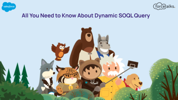 All You Need to Know About Dynamic SOQL Query