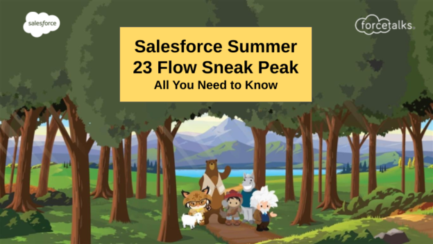 Salesforce Summer 23 Flow Sneak Peak | All You Need to Know