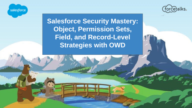 Salesforce Security Mastery: Object, Permission Sets, Field, and Record-Level Strategies with OWD